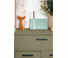 CHALK PAINT CP-31 AGAVE